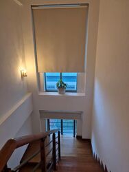 Serangoon Garden Estate (D19), Semi-Detached #538465131
